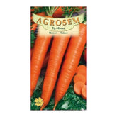 Hectarul - Seminte Morcov  Flakkeer AGROSEM 100 g